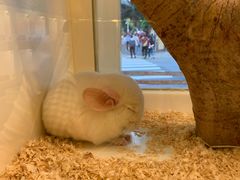 -龙猫仔乐园(惠福东路店)