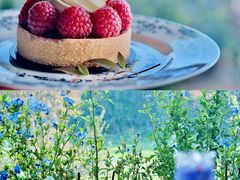 -阳光高尔夫俱乐部