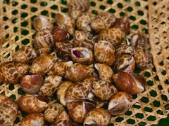 -火舞泰·泰式海鲜火锅餐厅(世纪城店)