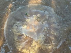 -兴城海滨风景区