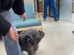 -爱派特动物医院·全科诊疗中心