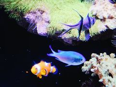 -南昌海洋公园