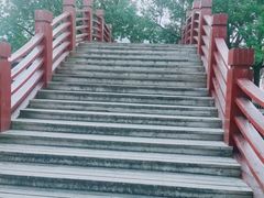 -金泽古镇