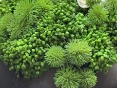 -东方明珠老上海8号餐厅(东方明珠广播电视塔店)