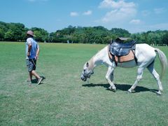 -合肥三国新城遗址公园
