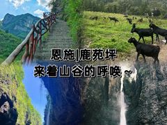 -鹿院坪生态旅游景区