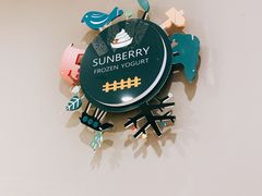 -三佰瑞冻酸奶(凯德MALL店)