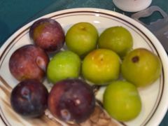 -周正水煮活鱼·吊水鱼(杏东店)