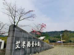 -风云岭森林公园