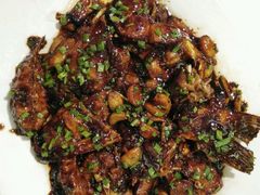红烧鮰鱼-宏玲餐厅(四川南路店)