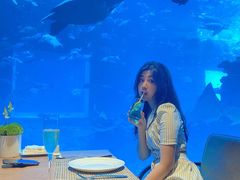 -海棠湾洲际-涛·海底餐厅·美人鱼·自助餐·海底隧道