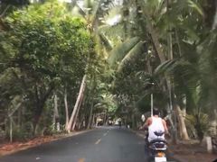 -东郊椰林