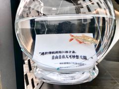 -知美术馆
