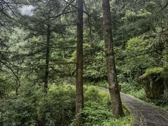 -苍山感通索道