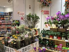 -昌大昌(清远顺盈店)