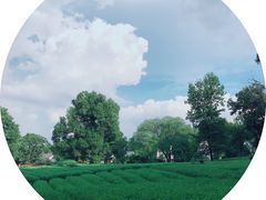 -旅马餐厅(茅家埠店)