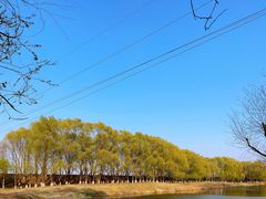 -蒲河岛湿地公园