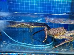 -前王院•巧克力海鲜市集餐厅(万平口店)