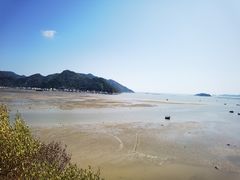 -北岐滩涂
