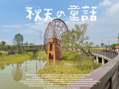 -王借岗森林公园