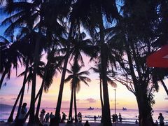-Cha Cha's Beach Cafe