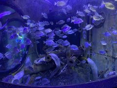 -成都浩海立方海洋公园