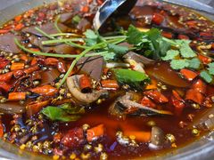 -红辣椒·川菜·火锅(张杨路店)