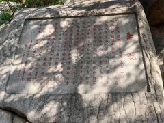 -崂山仰口游览区