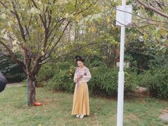 -长沙市青少年宫