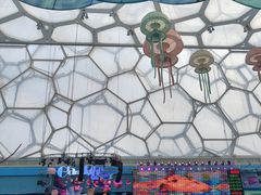 -水立方嬉水乐园