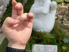 -灵光寺