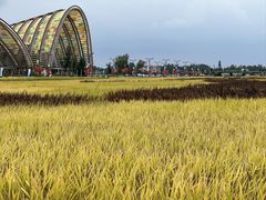 -中国天府农业博览园