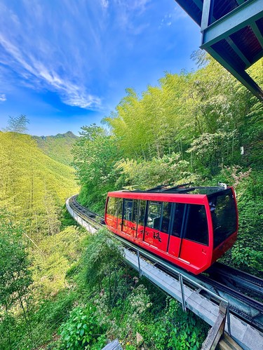 闯入绿野仙踪修仙吸氧🍃承包整个夏天的治愈