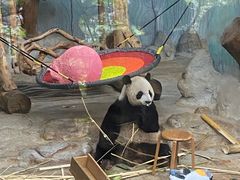 -海南热带野生动植物园