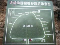 -大岭沟猕猴桃谷风景区