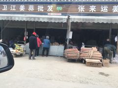 门面-西北农副产品中心批发市场(广安路店)