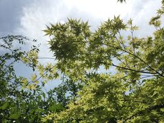 -邓小平故里