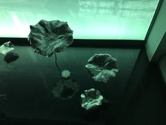 -湖州博物馆