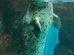 -鹿儿岛水族馆