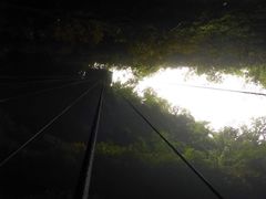 -怀托摩萤火虫洞