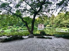 -山外山菜馆(玉泉路店)