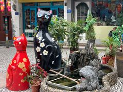 -猫咪博物馆(顶澳仔猫街店)