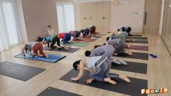 -酉嘉瑜伽YO+YOGA