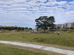 -风云岭森林公园