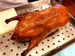 -全聚德(上海首店浦东店)