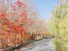-小绿谷公园