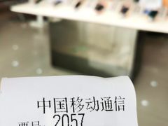 -中国移动(七莘路营业厅)
