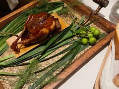 -蝶舍·MAISON PAPILLON