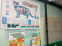 -半岛宠物医院24小时(科华中路店)