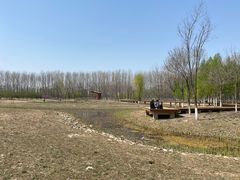-东郊湿地公园